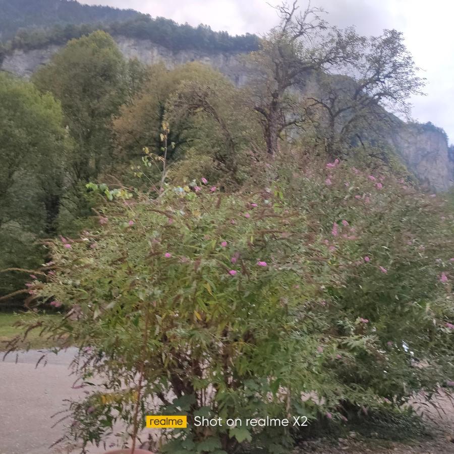 Herberge Balmweid 1 ไมริงเงน ภายนอก รูปภาพ